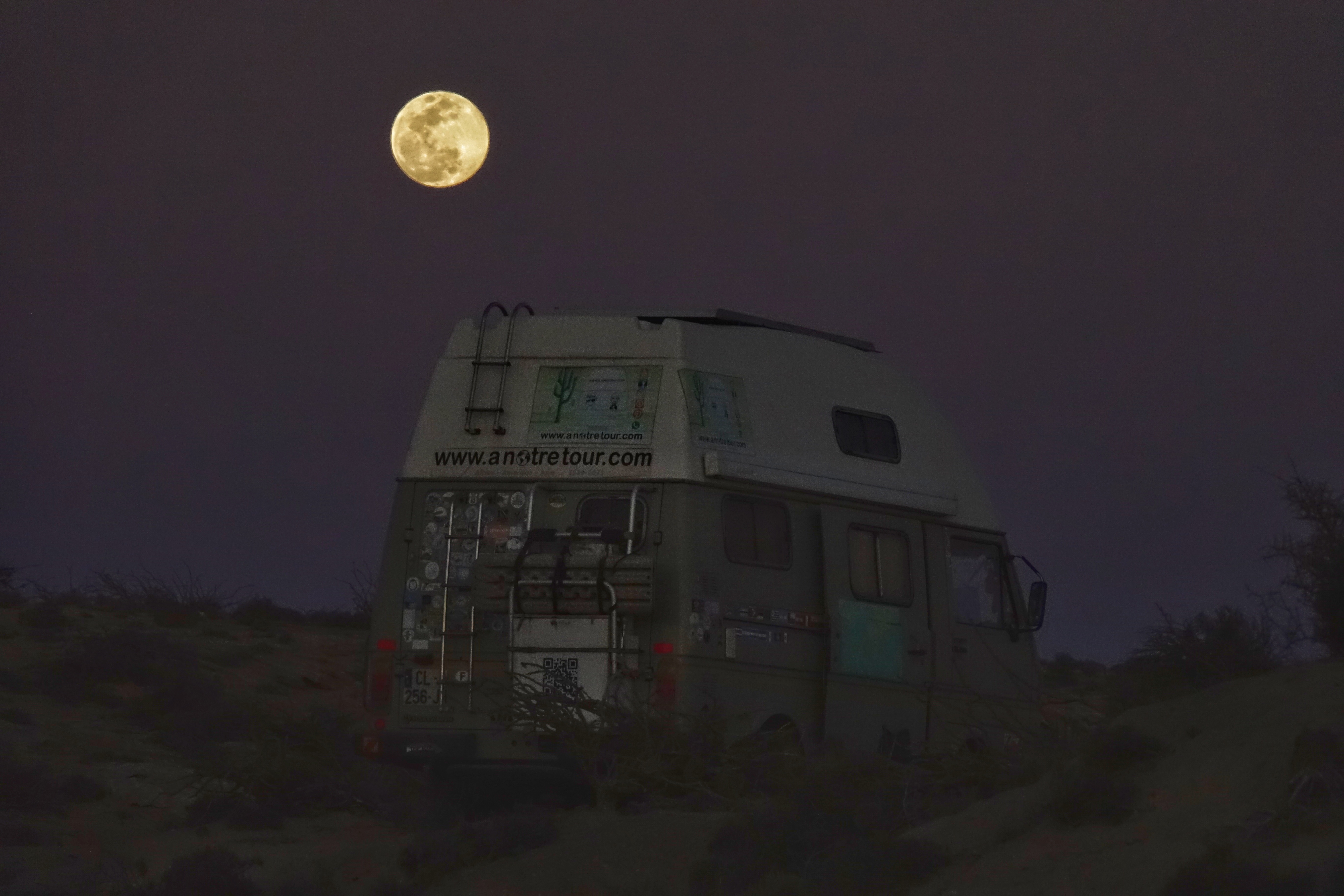 Oscar sous la lune